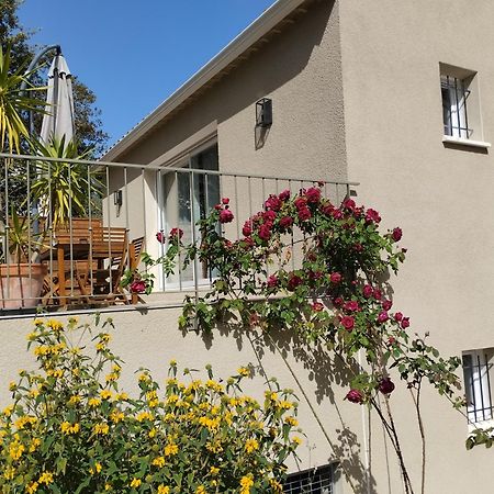 Charmante Maison Avec Jardin Aux Portes Des Gorges De L'Ardeche Saint-Julien-de-Peyrolas Luaran gambar